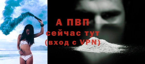 PSILOCYBIN Баксан