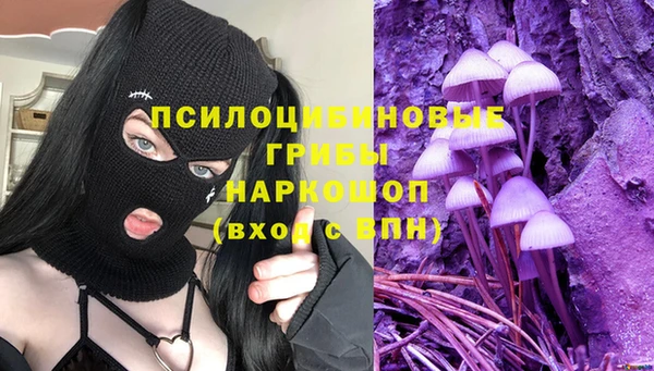гидропоника Балабаново