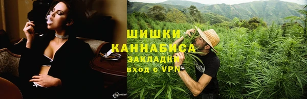 PSILOCYBIN Баксан