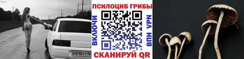 Галлюциногенные грибы мухоморы  Плёс 